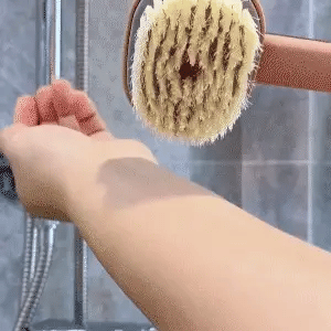 Long Handle Massage and Bath Brush