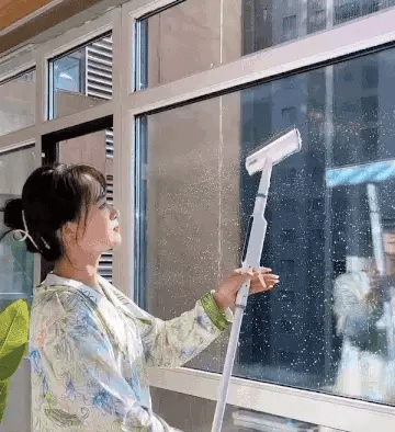 Nettoyeur de vitres téléscopique 3 en 1 avec pulvérisateur intégré