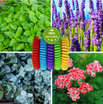 Lot de 10 Bracelets à la citronnelle anti-moustiques
