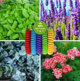 Lot de 10 Bracelets à la citronnelle anti-moustiques