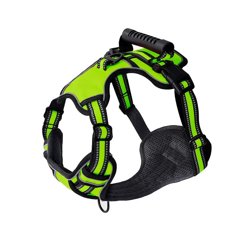 Vert / S,Vert / M,Vert / L,Vert / XL,Vert / XS
