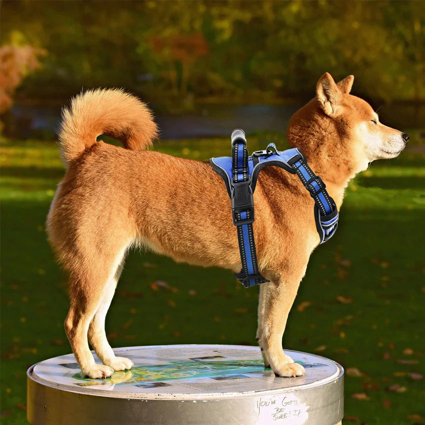 Reflective and Breathable Dog Harness with Handle