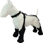 Waterproof Boots and Harness for Dogs
