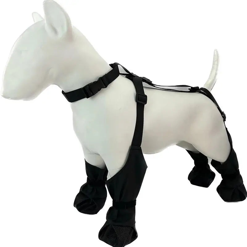 Waterproof Boots and Harness for Dogs