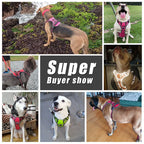 Reflective and Breathable Dog Harness with Handle
