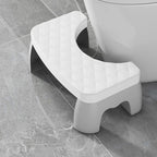 Toilet stool
