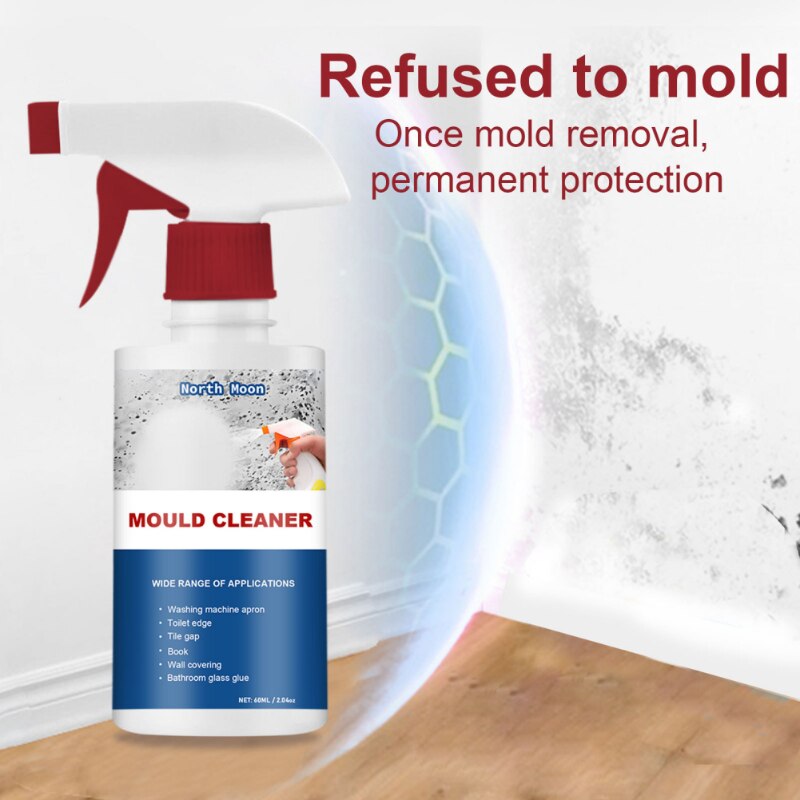 Spray anti moissisure