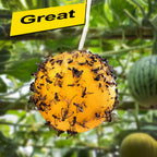 Pack of 10 Magic Spheres - Fly Traps