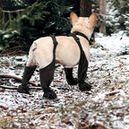 Waterproof Boots and Harness for Dogs