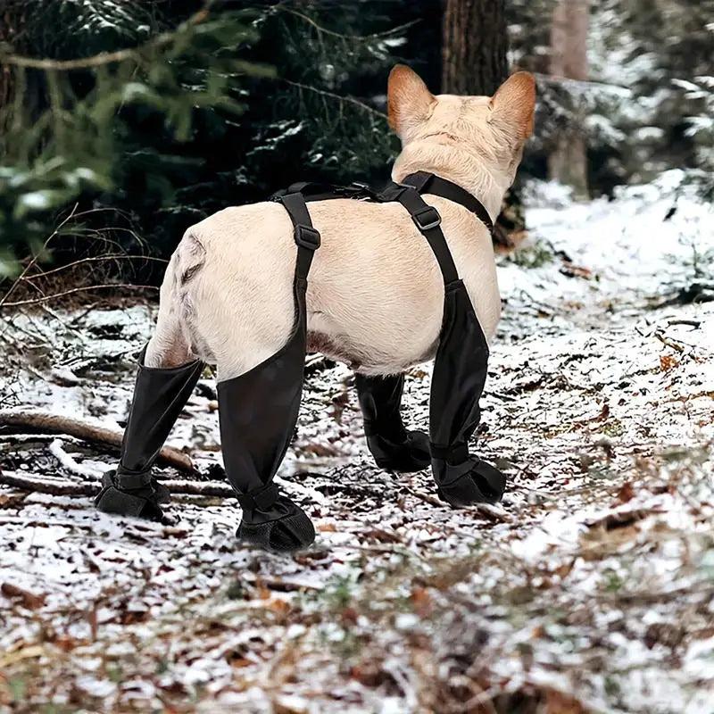 Waterproof Boots and Harness for Dogs