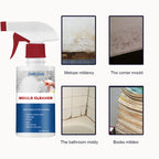 Spray anti moissisure