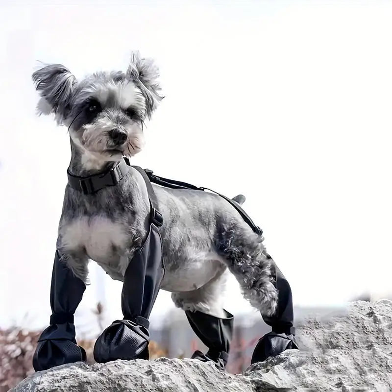 Waterproof Boots and Harness for Dogs