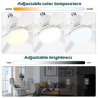 Silent LED Ceiling Fan with Remote Control