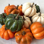 Lot de 9 Citrouilles Décoratives – Décoration Automne et Halloween