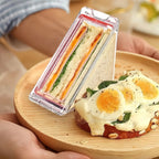 Boîte à Lunch et Pique-Nique Triangulaire Spéciale Sandwichs