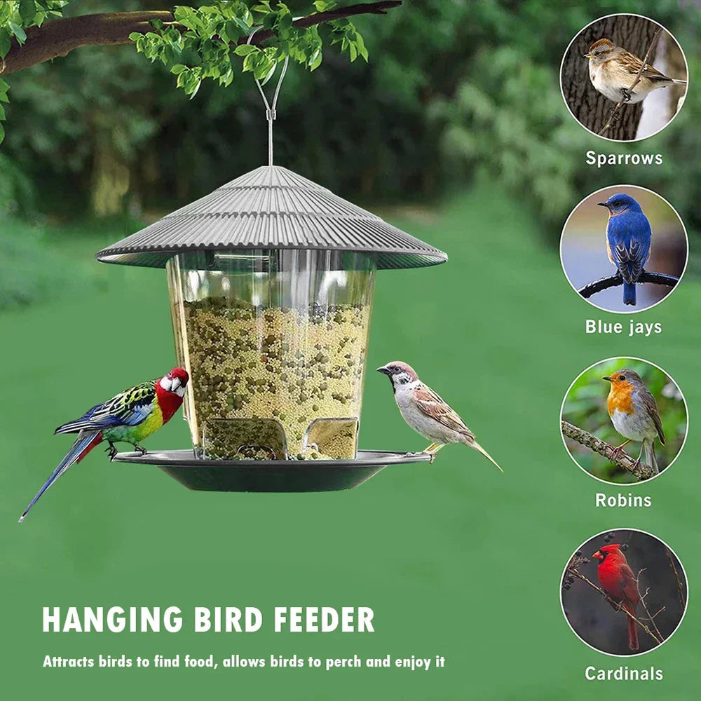 Hanging Bird Feeder – Durable Roof & Large Capacity