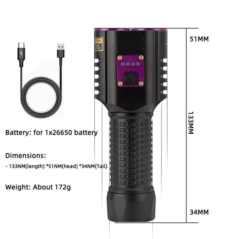 Lampe de Poche UV Detection Parasites et Urine