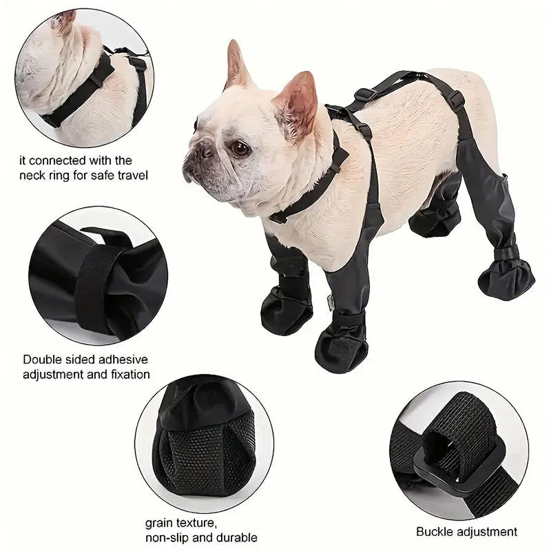 Waterproof Boots and Harness for Dogs
