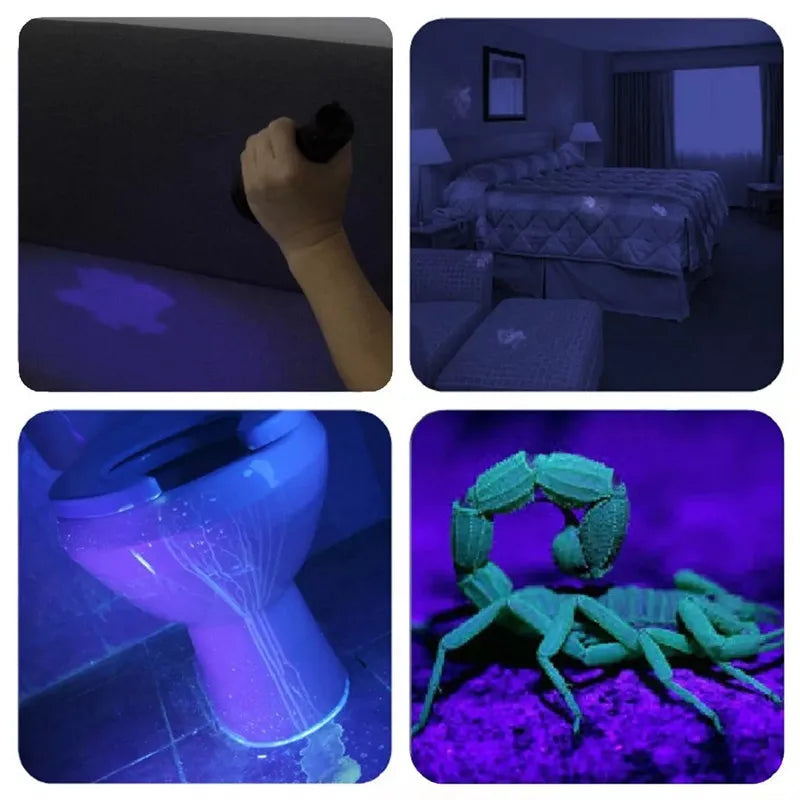 21 LED UV Flashlight for Bed Bug Detection