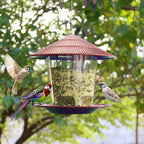 Hanging Bird Feeder – Durable Roof & Large Capacity