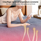 Couverture chauffante électrique 220V