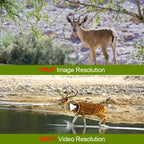 Mini Hunting Camera Night Vision 12 Megapixels