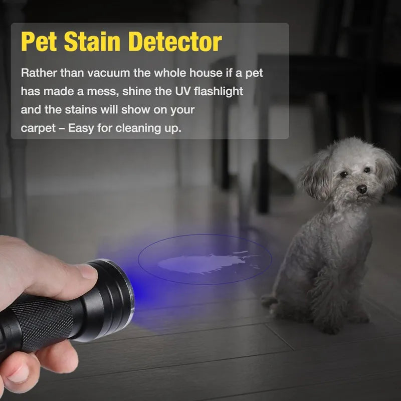 21 LED UV Flashlight for Bed Bug Detection