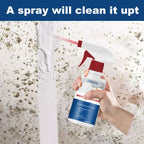 Spray anti moissisure
