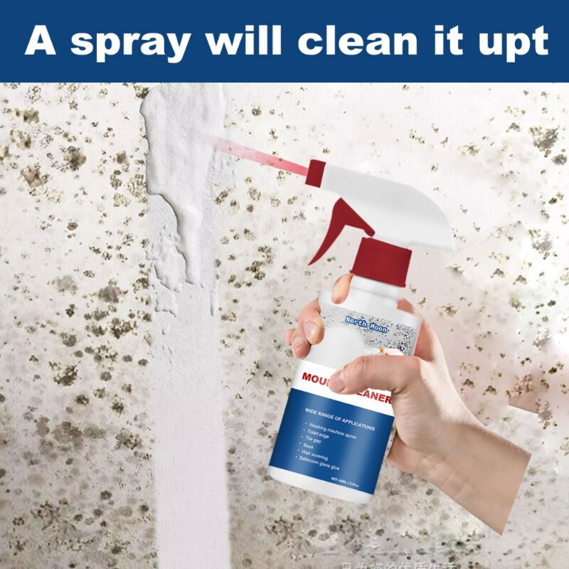 Spray anti moissisure