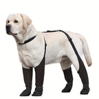 Waterproof Boots and Harness for Dogs