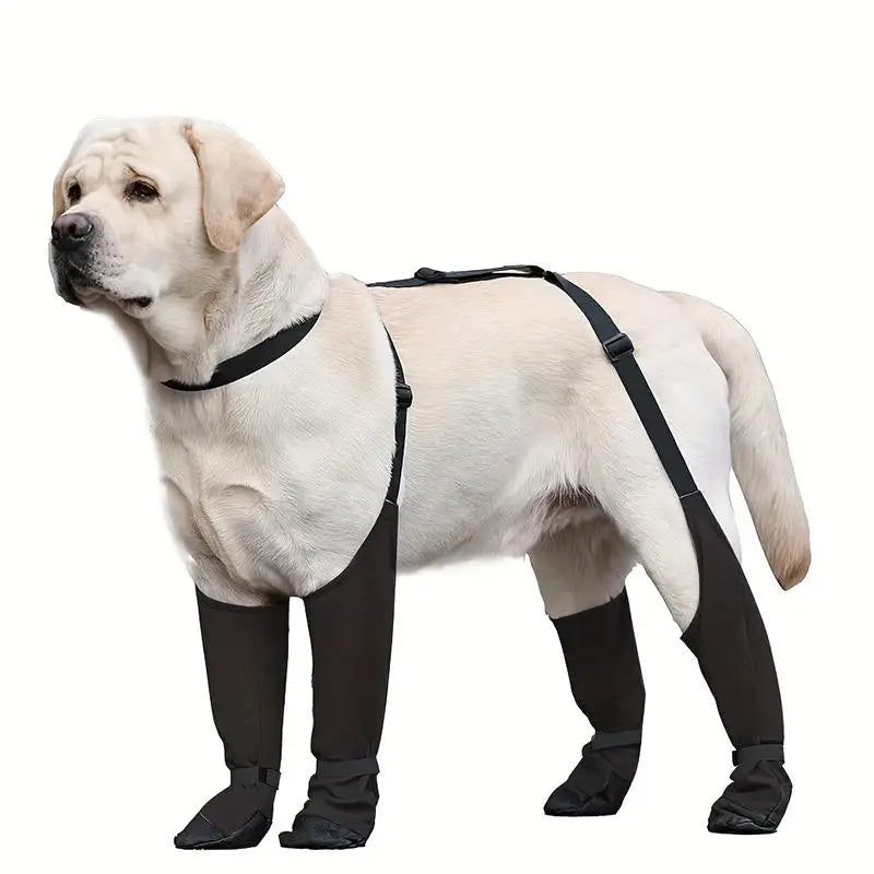 Waterproof Boots and Harness for Dogs