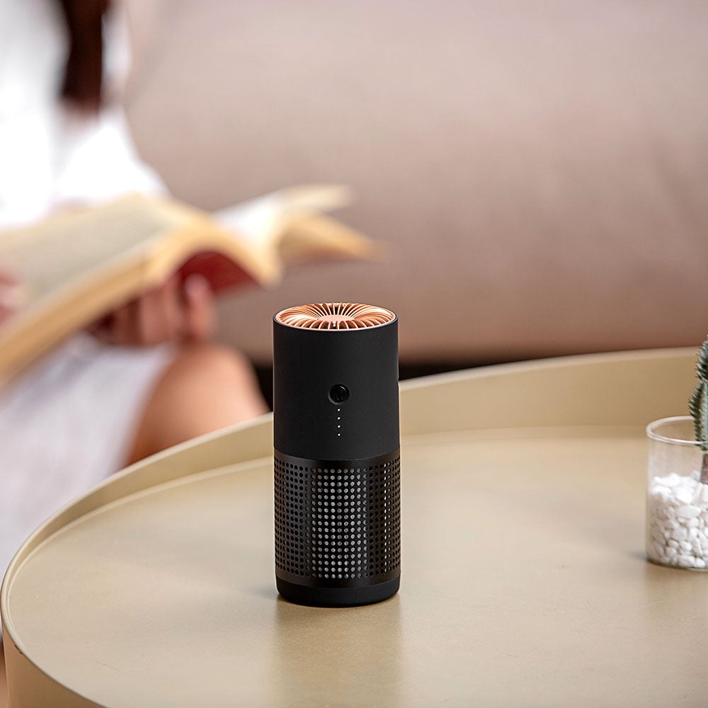 Purificateur d'air portable