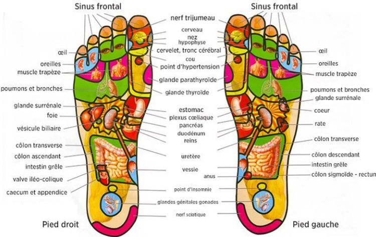 Semelles d'acupression plantaire