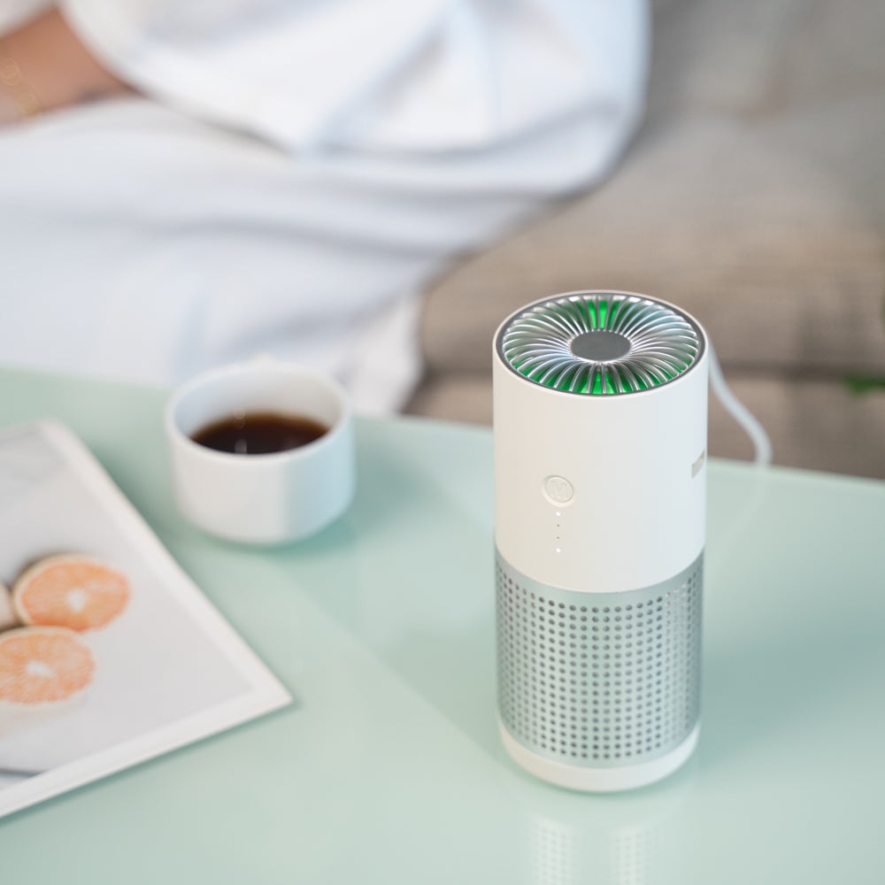 Purificateur d'air portable