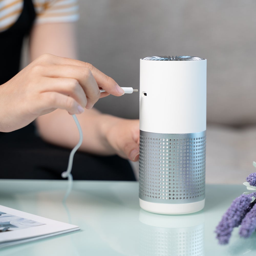 Purificateur d'air portable