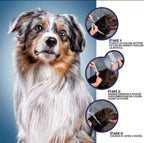 PROTECT + : Collier anti parasites pour chiens & chats