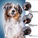 PROTECT + : Collier anti parasites pour chiens & chats