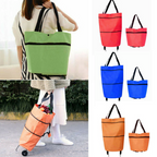 2-in-1 Foldable Shopping Bag