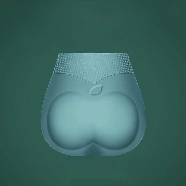 Lot de 2 culottes gainantes sans coutures en soie glacée