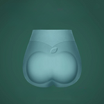 Lot de 2 culottes gainantes sans coutures en soie glacée