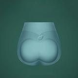 Lot de 2 culottes gainantes sans coutures en soie glacée