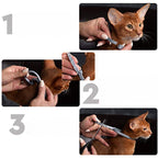 PROTECT + : Collier anti parasites pour chiens & chats