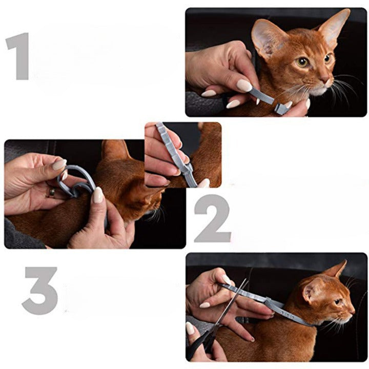 PROTECT + : Collier anti parasites pour chiens & chats
