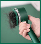Brosse à cheveux auto-nettoyante