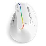 Souris verticale