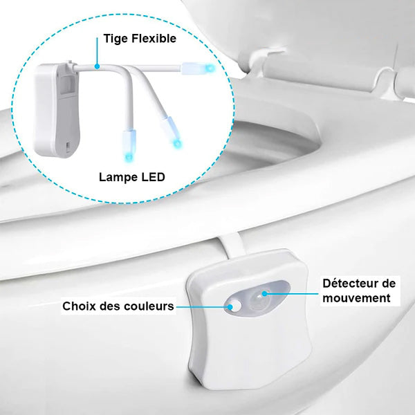 Multicolor smart toilet light