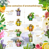 Coffret de 15 Huiles essentielles aromathérapie