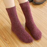 Lot de 2 paires de chaussettes en laine mérinos