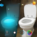 Multicolor smart toilet light