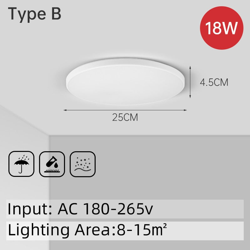 LED Ceiling Light
